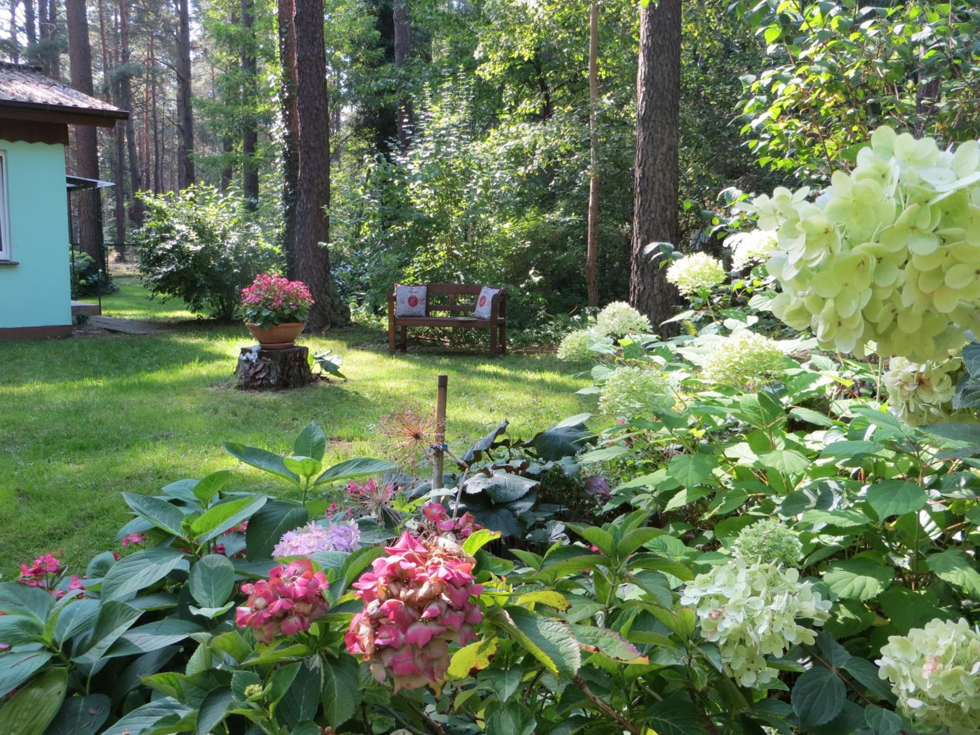 Kastavengrund - Ferienhaeuser Mit Kamin Lychen Bagian luar foto